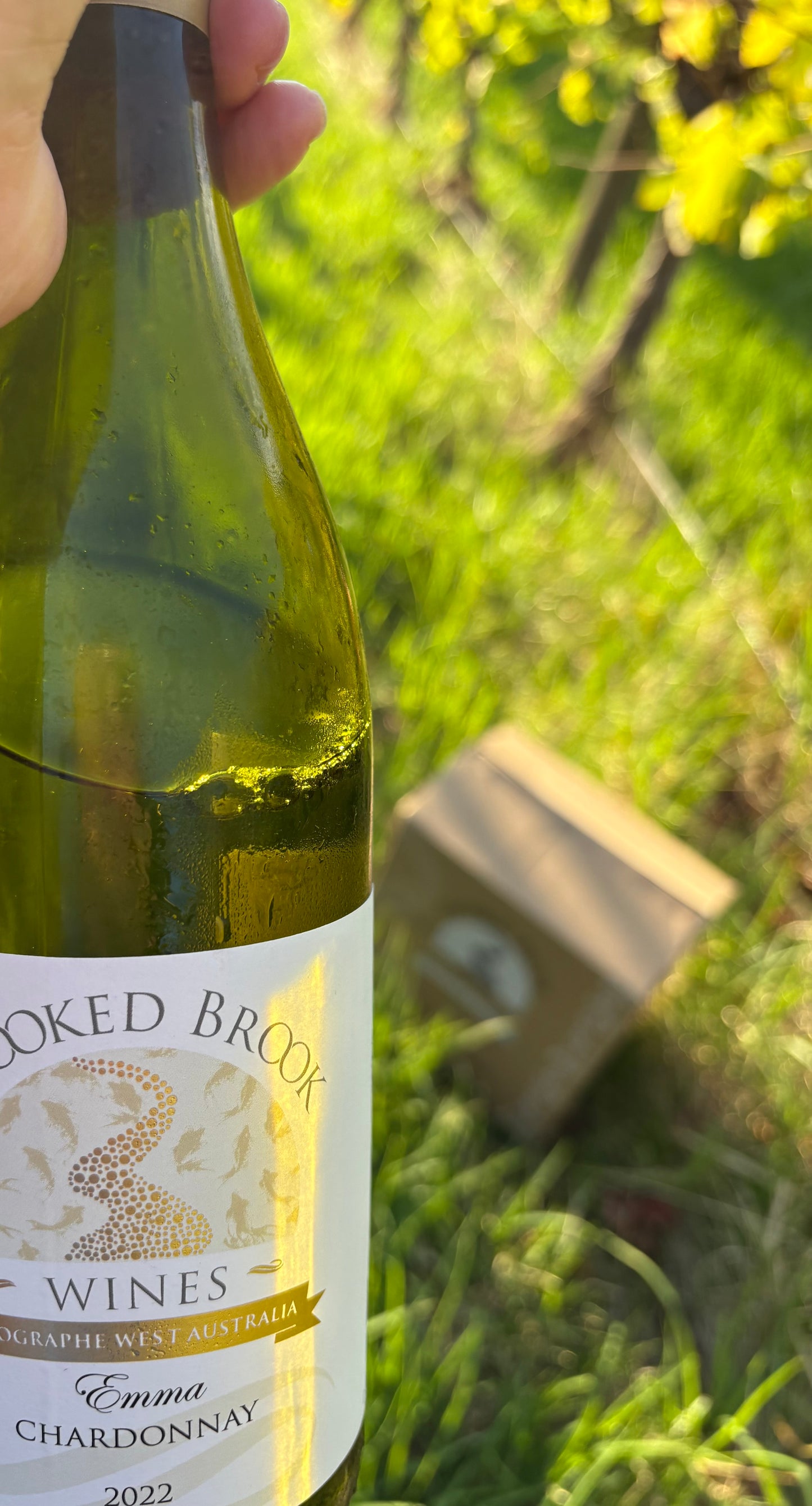Bottle of Emma Chardonnay from Crooked Brook Wines held in a hand with a grassy background in the Crooked Brook Vineyard