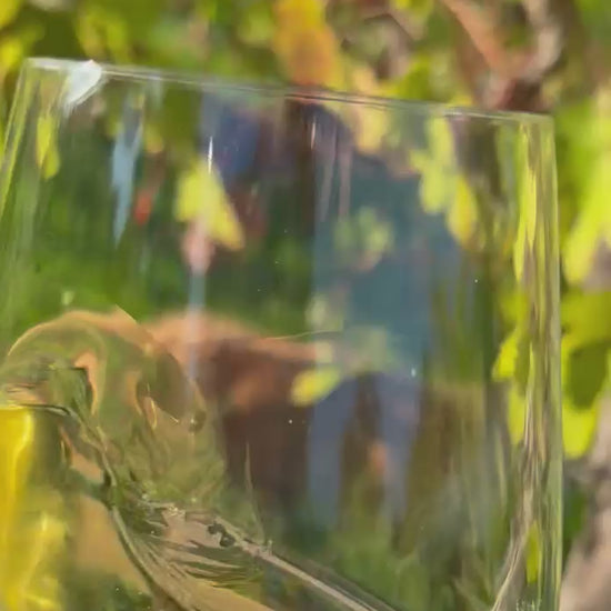 2022 Emma Single Vineyard Chardonnay – cellar door lifestyle shot, Crooked Brook Wines