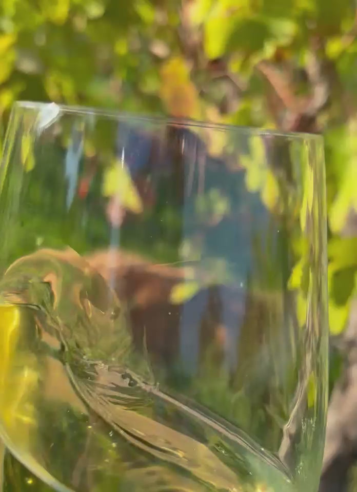 2022 Emma Single Vineyard Chardonnay – cellar door lifestyle shot, Crooked Brook Wines
