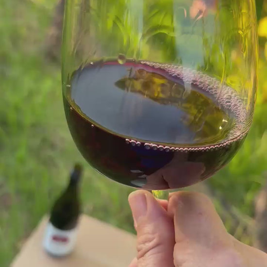 James Shiraz glass swirling in the Crooked Brook Vineyard at Ferguson Valley WA