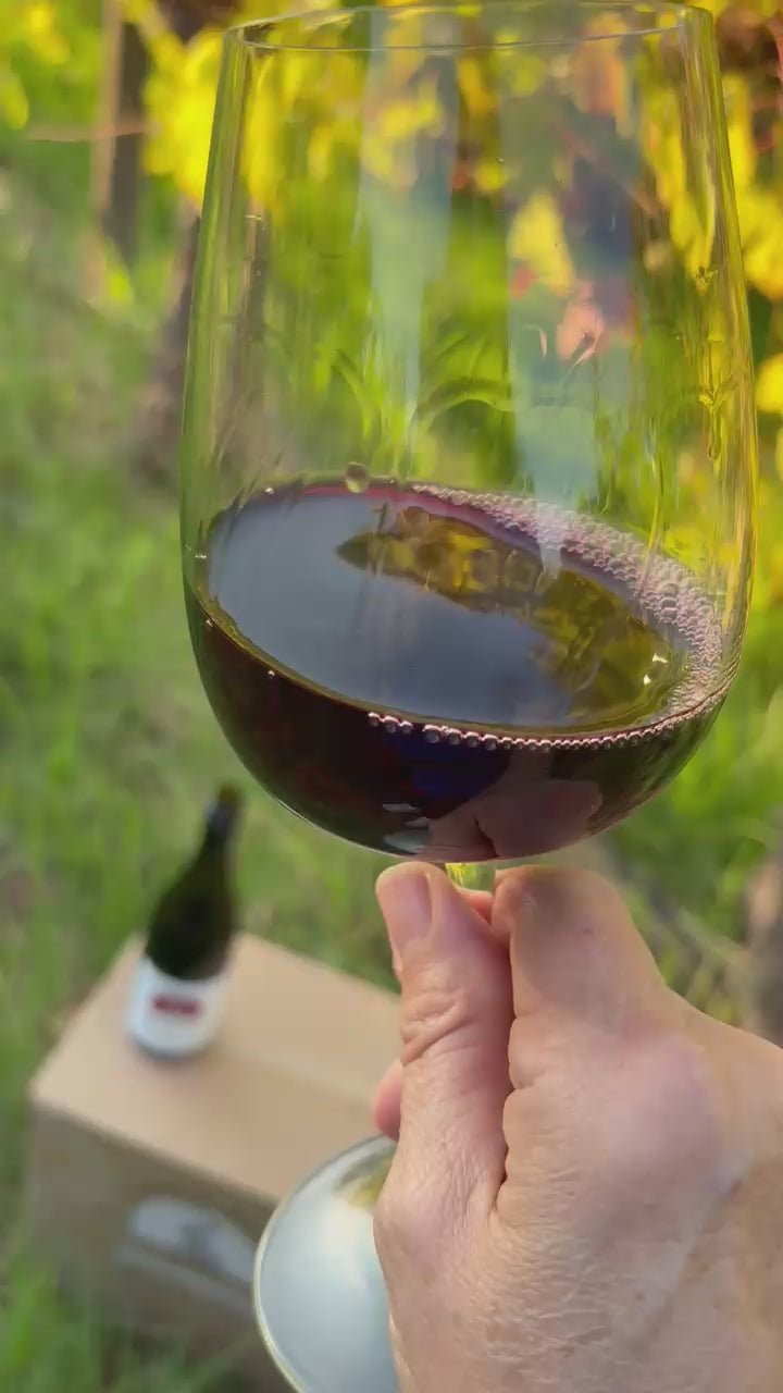 James Shiraz glass swirling in the Crooked Brook Vineyard at Ferguson Valley WA