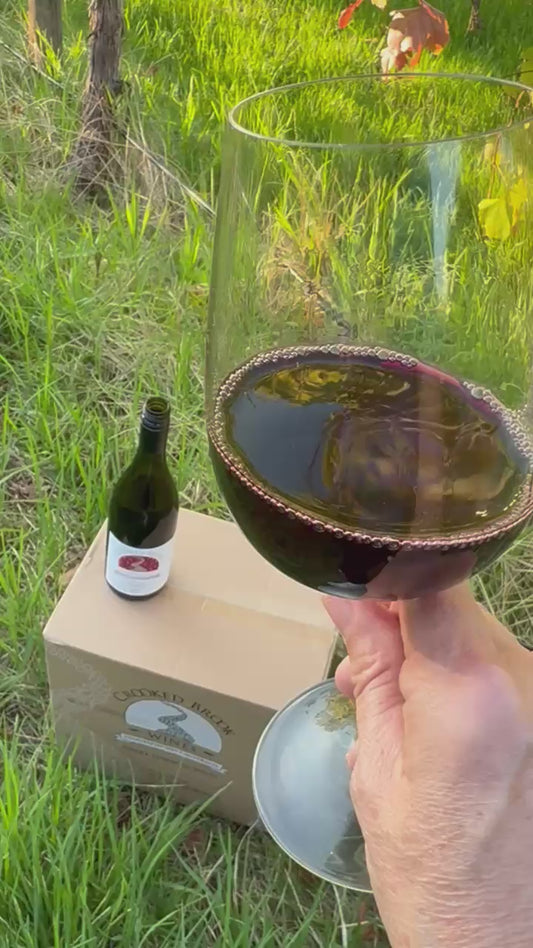 2023 James Shiraz - Single Vineyard