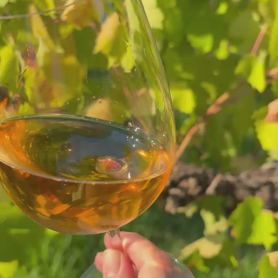 2024 Jean Single Vineyard Rosé – vineyard and winemaking story, Crooked Brook Wines, Ferguson Valley