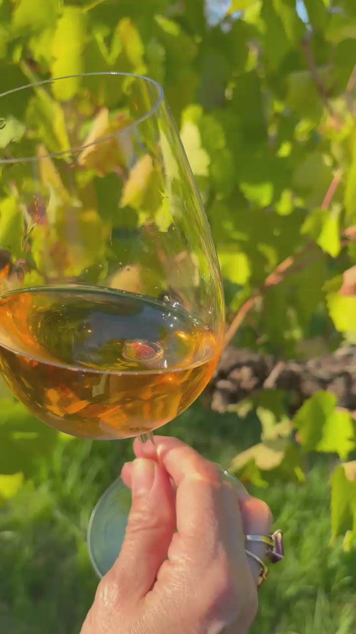 2024 Jean Single Vineyard Rosé – vineyard and winemaking story, Crooked Brook Wines, Ferguson Valley